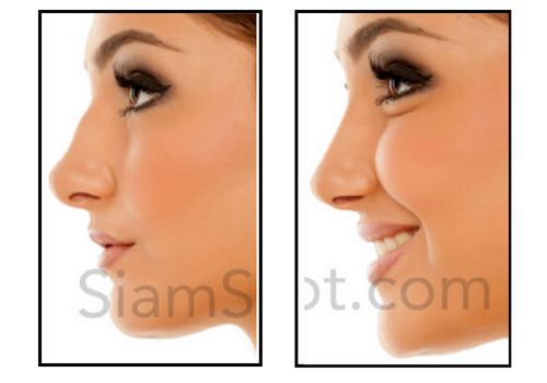 SiamSculpt.com